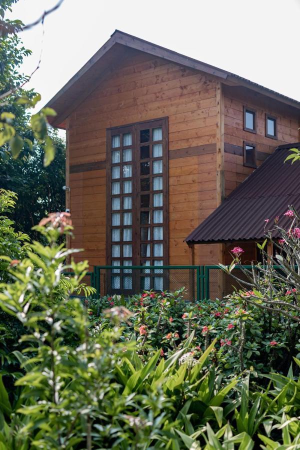 The Pine Loft Villa Bangalore Dış mekan fotoğraf
